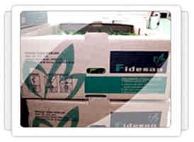Lahana Fidesi