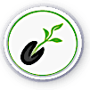 ico_1