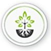 ico_5