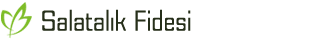 Salatalık Fidesi