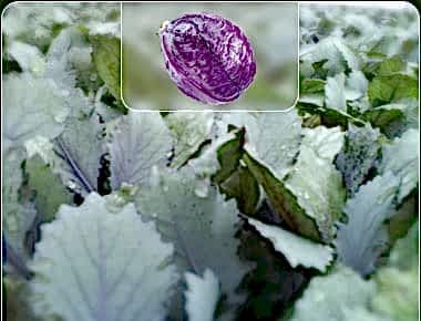 slider_6